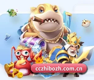 了解平台 - 体育资讯内容服务 - NetEase CC